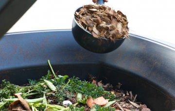 What can be placed in the compost?