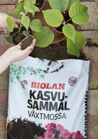 Biolan Mossgrow