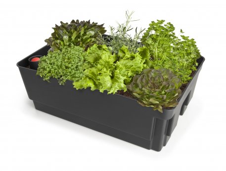 Biolan Planter