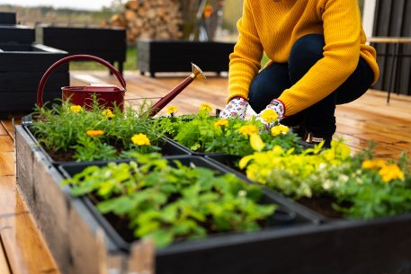 Biolan Planter