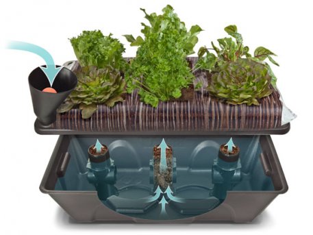 Biolan Self-watering box